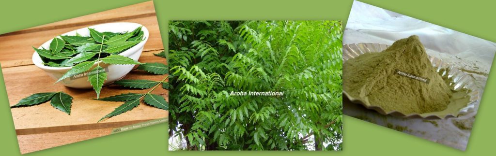 Image of Neem Featured