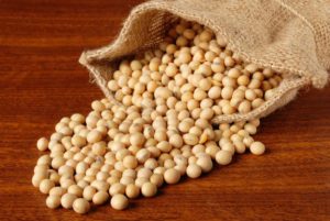Image of Soybean Seeds at Aroha International